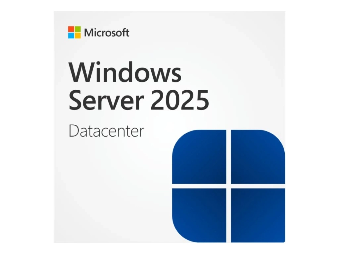 Windows Server 2025 LTSC Installation Service