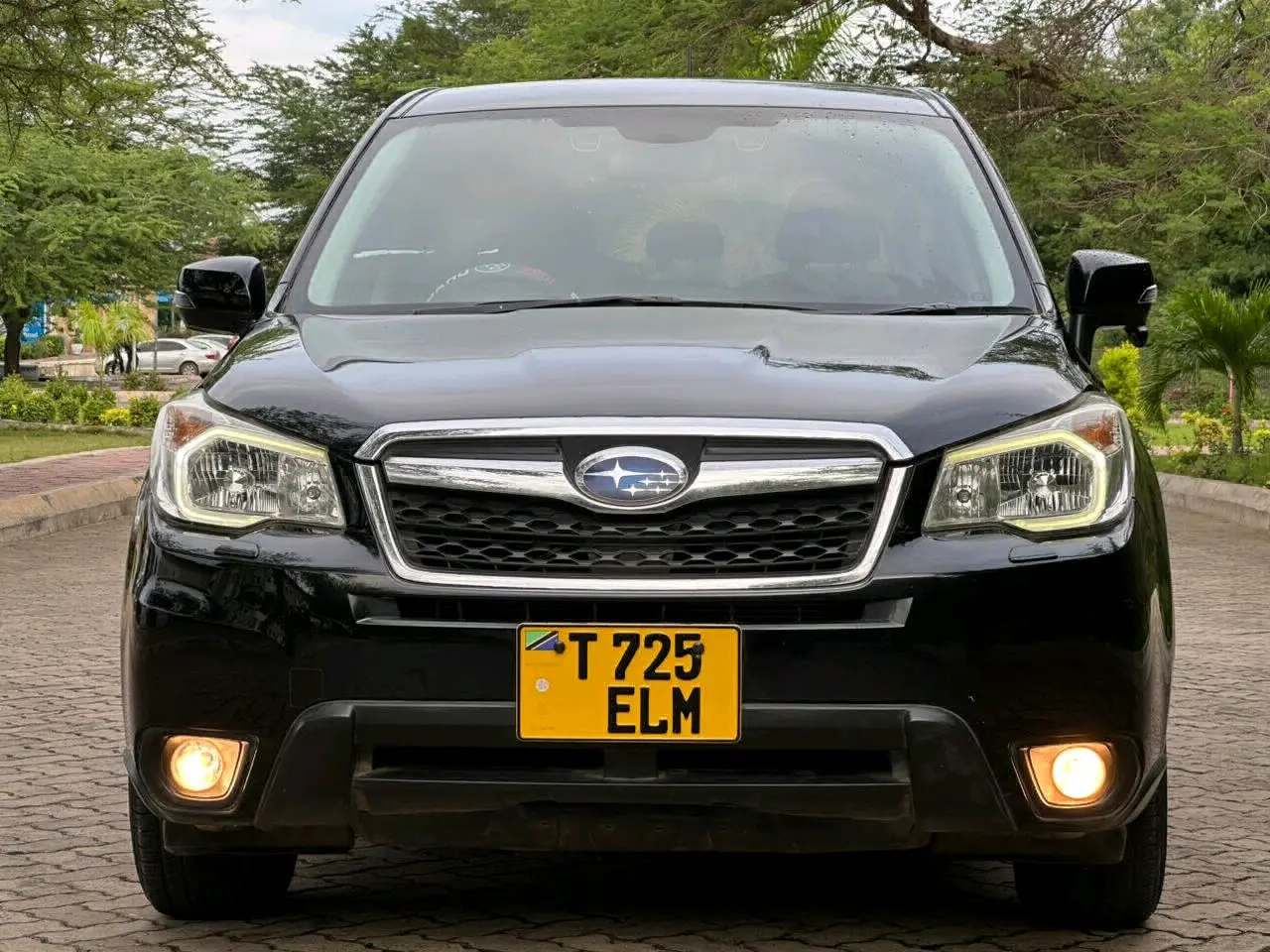 Subaru Forester 2014 (ELM)