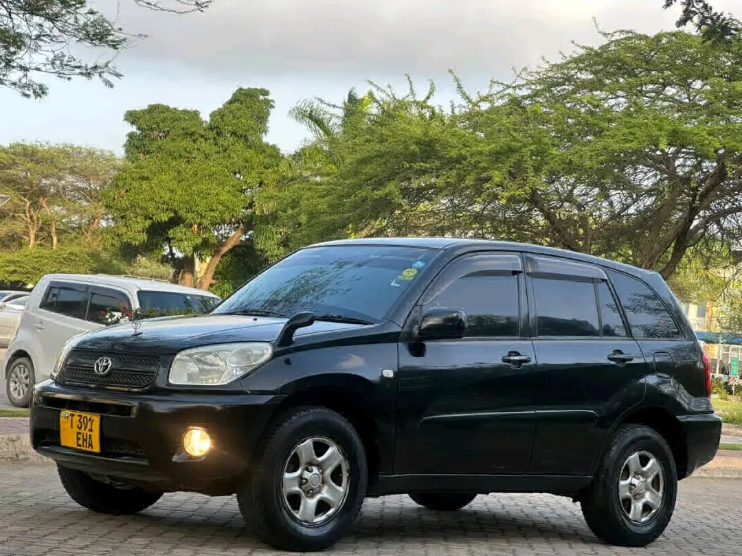 Toyota RAV4 2006 for Sale