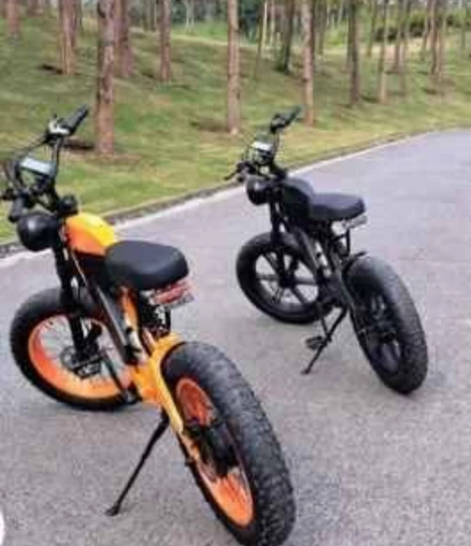 Pikipiki ya umeme (Electric Dirt Bike) thumbnail 5