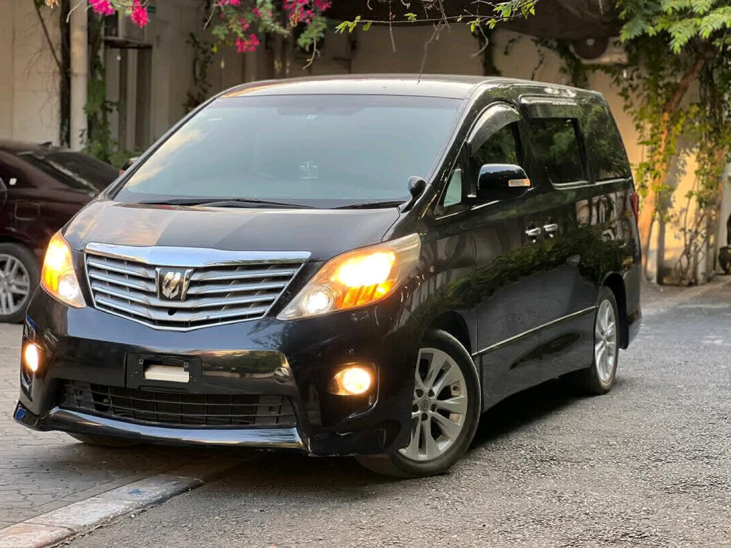 Toyota Alphard Minivan 2009 Model thumbnail 2