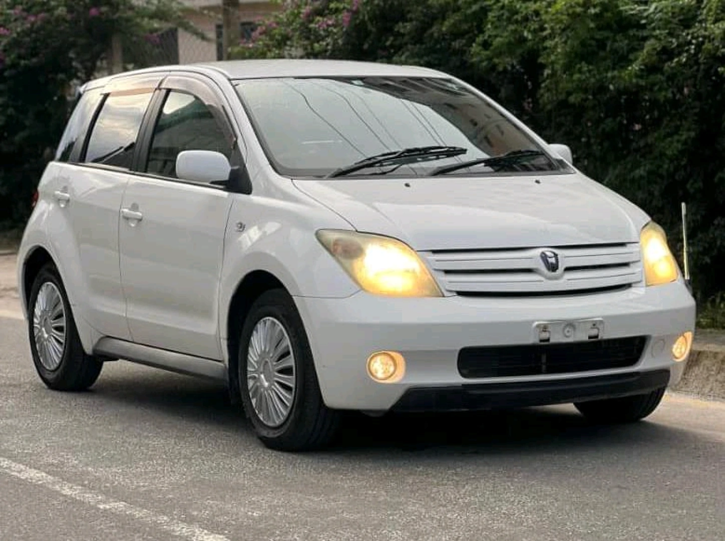 Toyota IST 2003 Pearl White Automatic thumbnail 3
