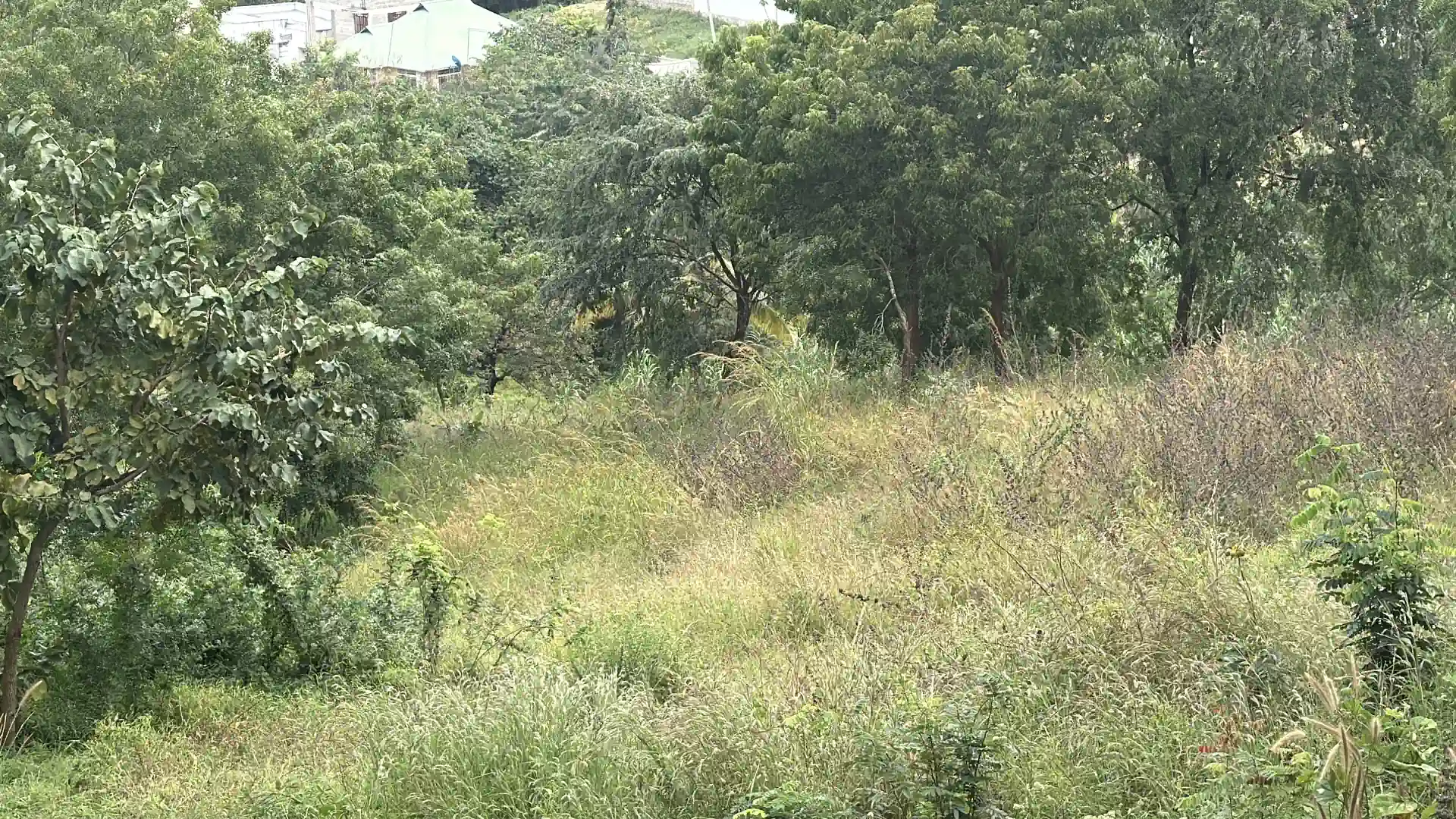 Kiwanja Kikubwa Kinauzwa Tabata Segerea Kisukulu (2.5 Acres)