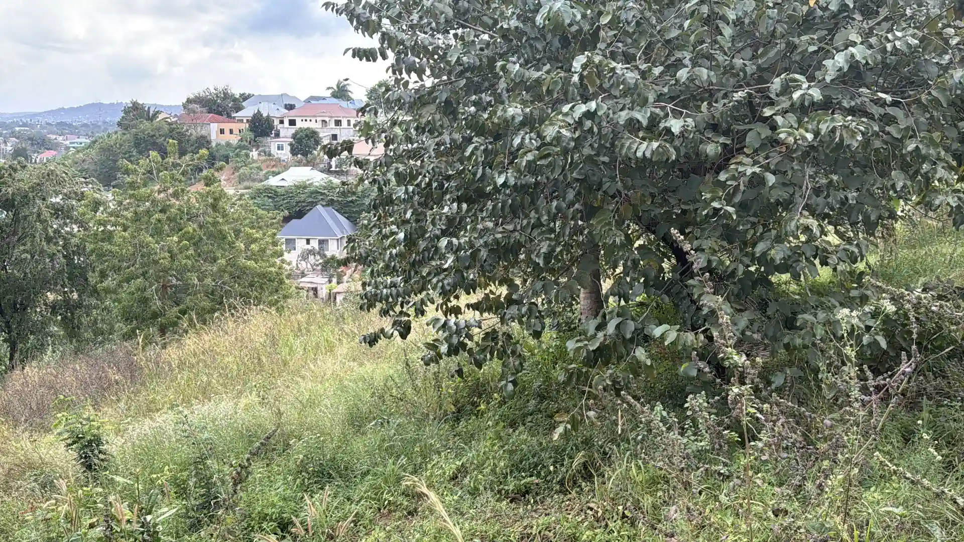 Kiwanja Kikubwa Kinauzwa Tabata Segerea Kisukulu (2.5 Acres) thumbnail 3