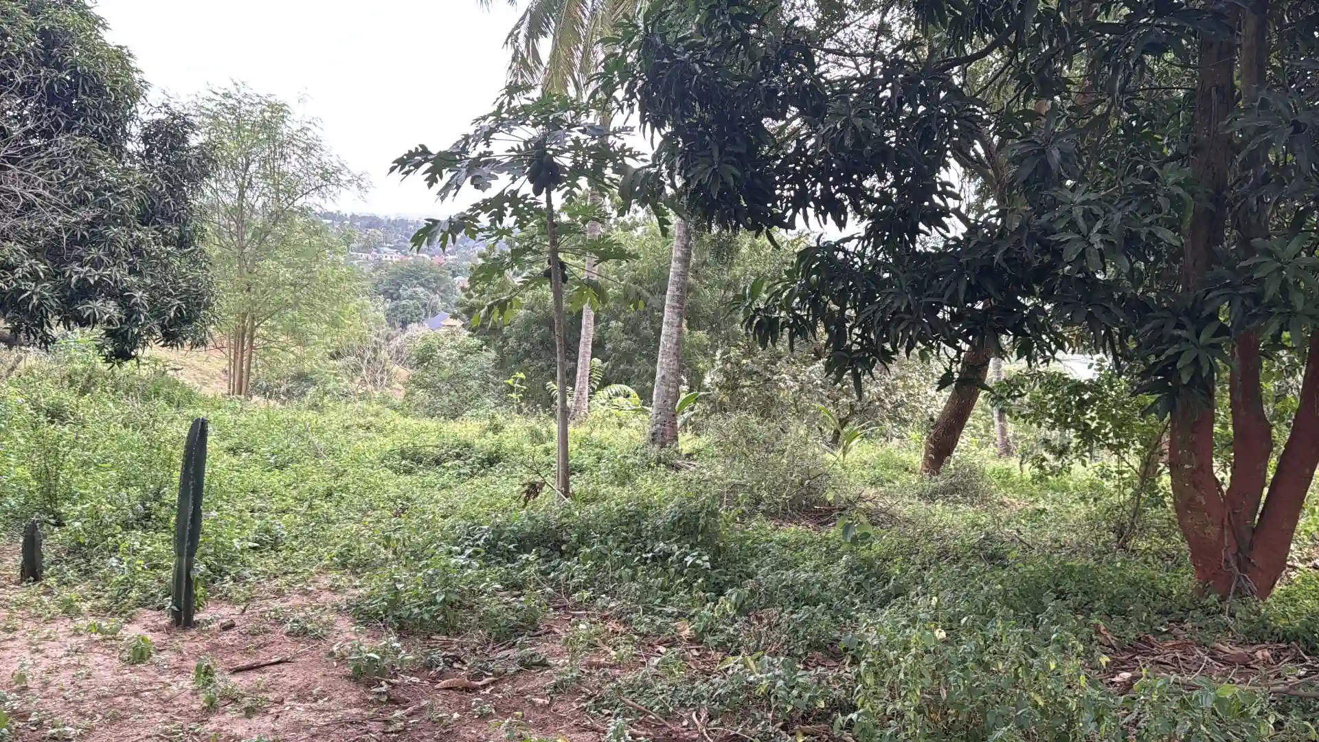 Kiwanja Kikubwa Kinauzwa Tabata Segerea Kisukulu (2.5 Acres) thumbnail 4