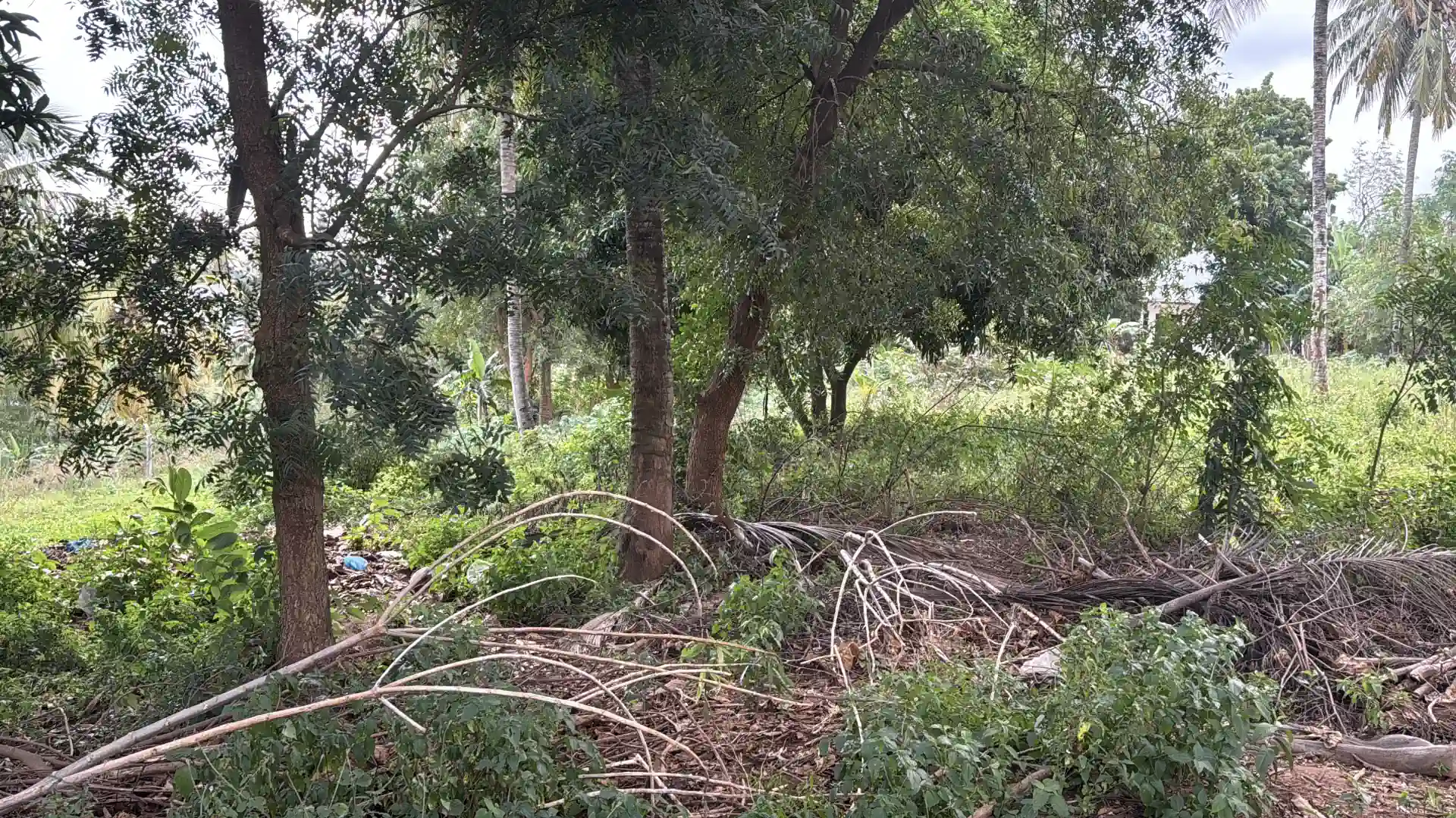 Kiwanja Kikubwa Kinauzwa Tabata Segerea Kisukulu (2.5 Acres) thumbnail 5