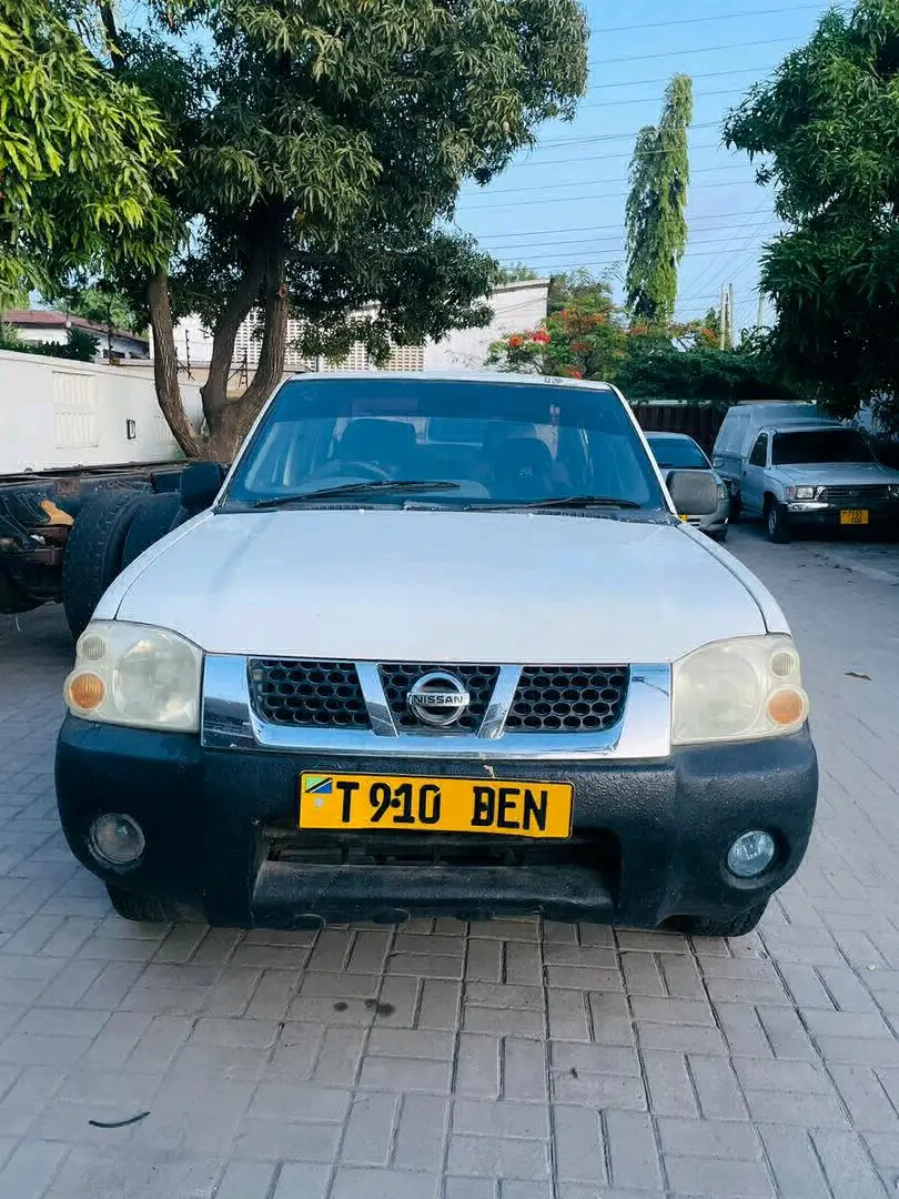 Nissan Hardbody Pickup Truck 2010 (Qd32)