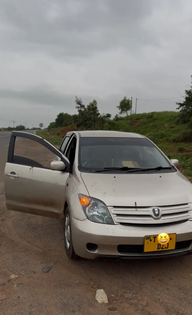 Toyota Ist Kali (Gold)