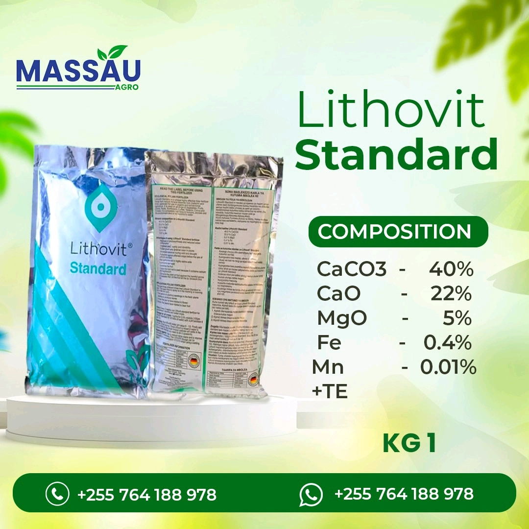 Voronejdan Zhenya Podstreshnaya bilan porno Ayollar ishtirokida pantyhose porno videolar