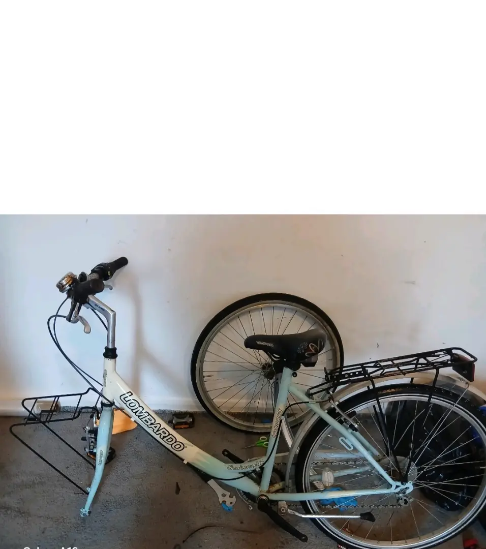 Lombardo Women's City Bicycle
