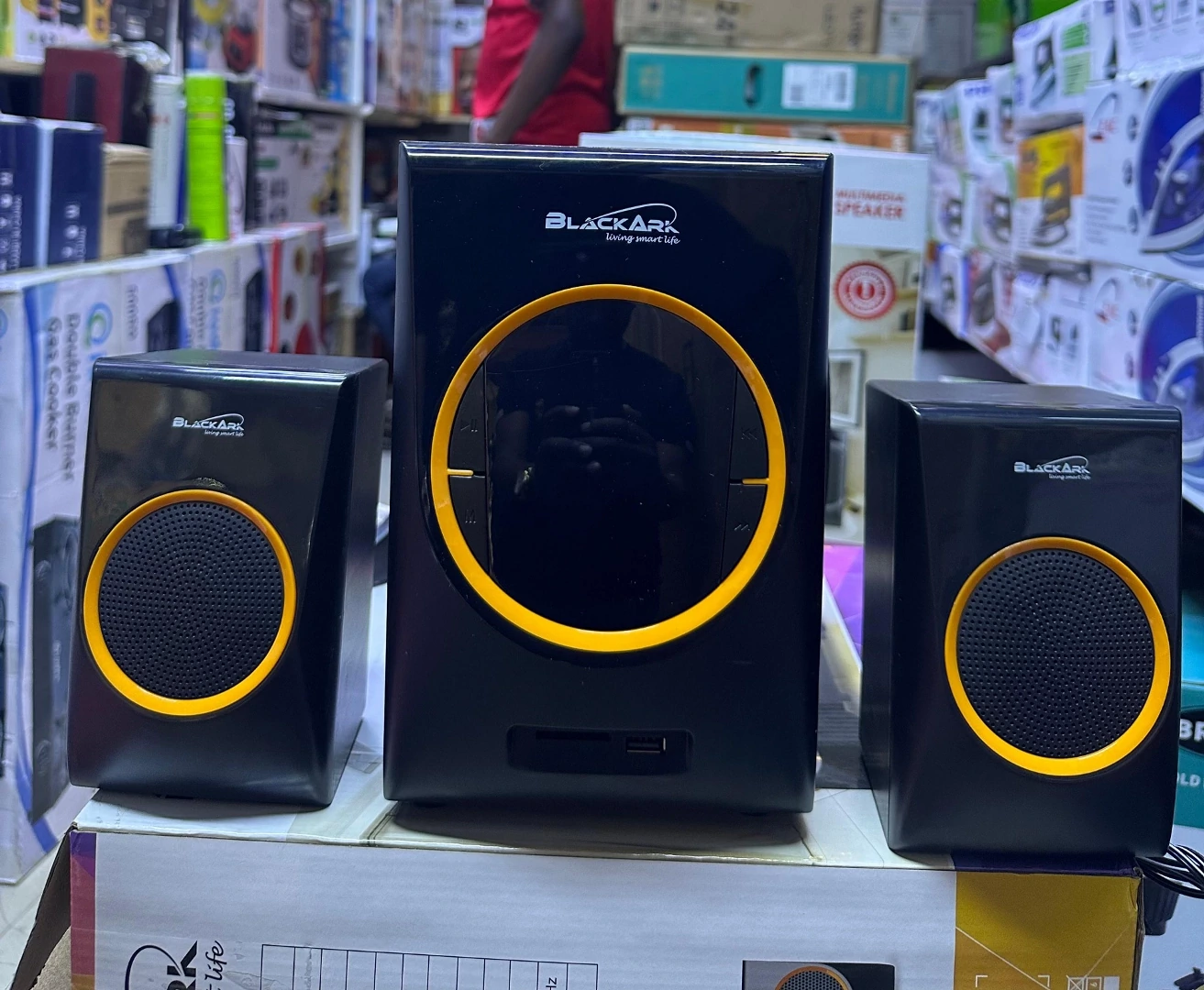 Blackark 2.1 Subwoofer Speaker System
