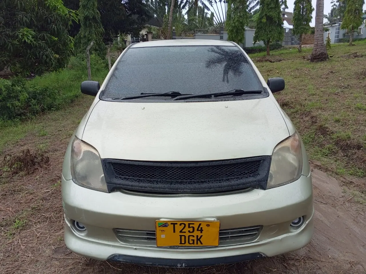 Toyota Ist Kali Sana