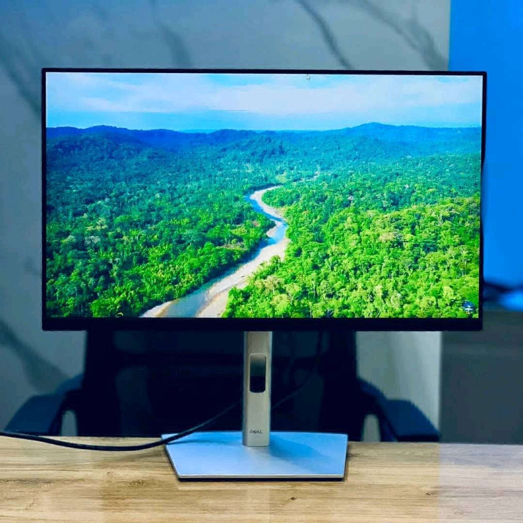 Dell P2422H 24-inch IPS FHD Monitor