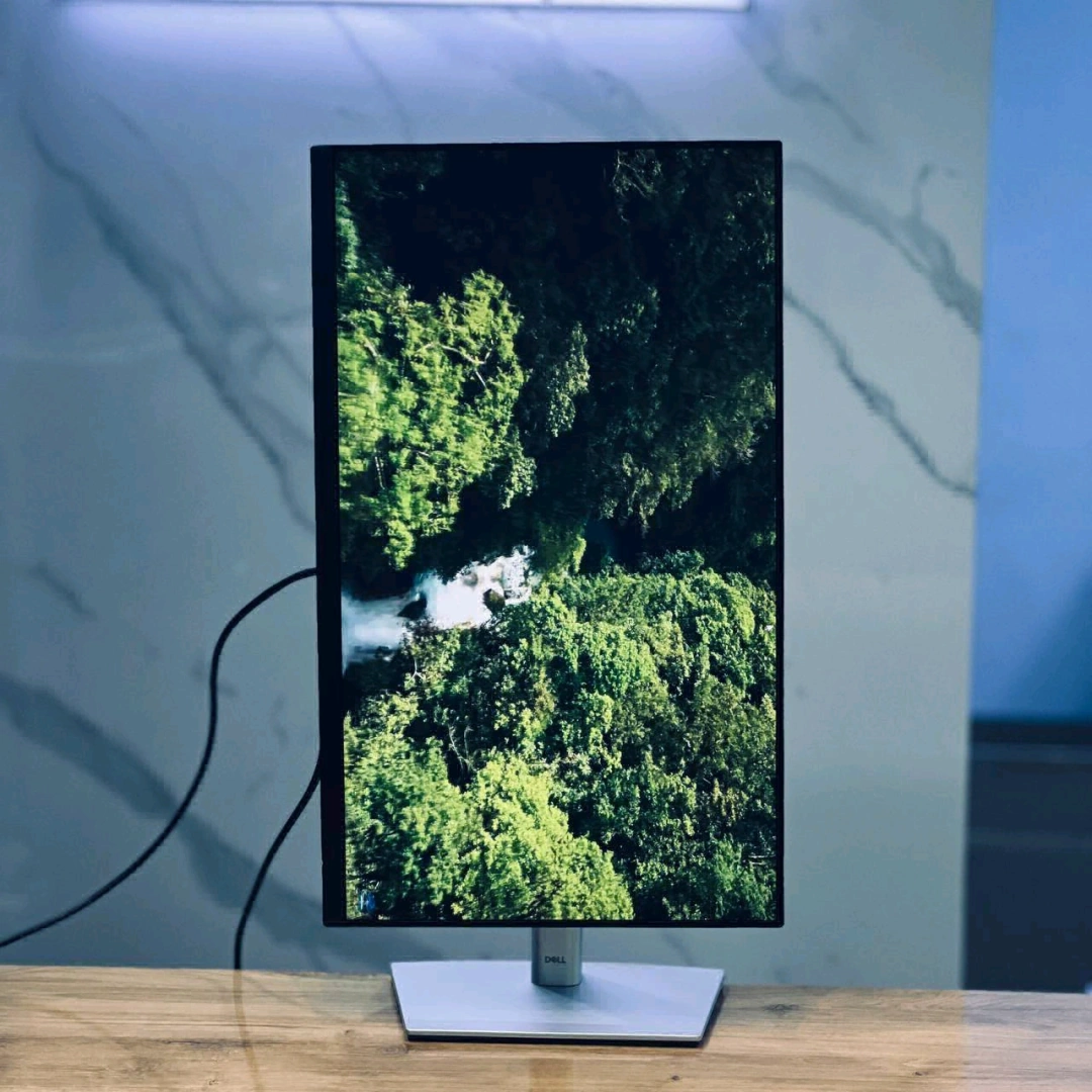 Dell P2422H 24-inch IPS FHD Monitor thumbnail 3