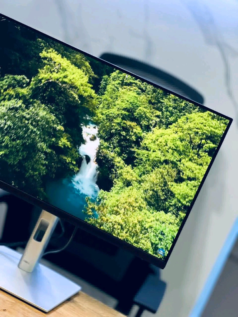 Dell P2422H 24-inch IPS FHD Monitor thumbnail 5