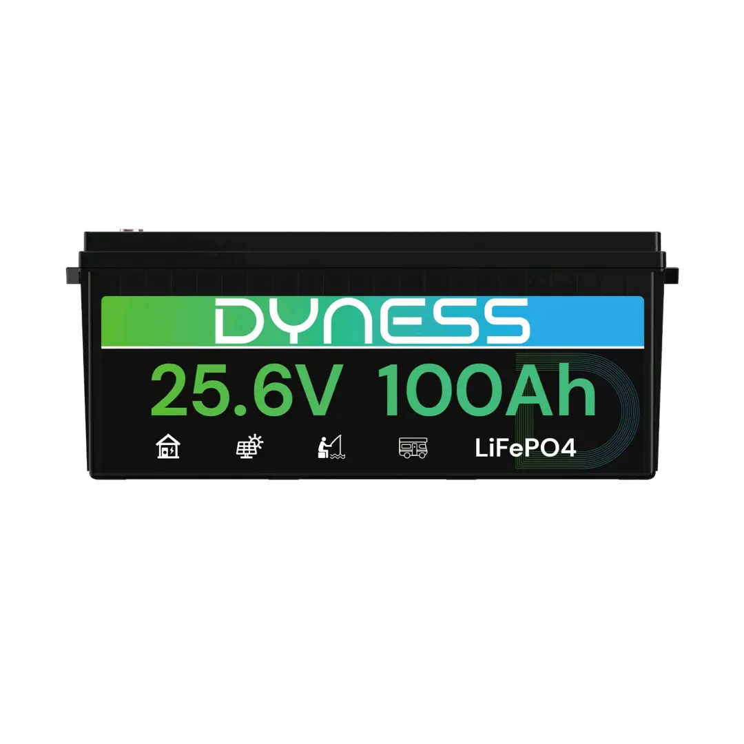 Dyness Lithium Battery 12V 100Ah