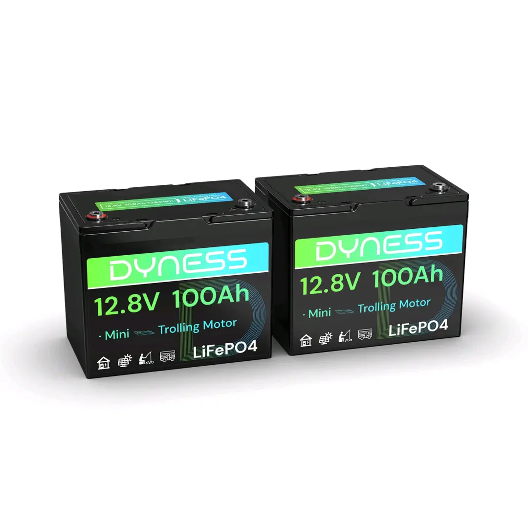 Dyness Lithium Battery 12V 100Ah thumbnail 2