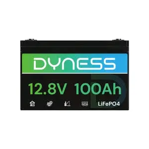 Dyness Lithium Battery 12V 100Ah thumbnail 3