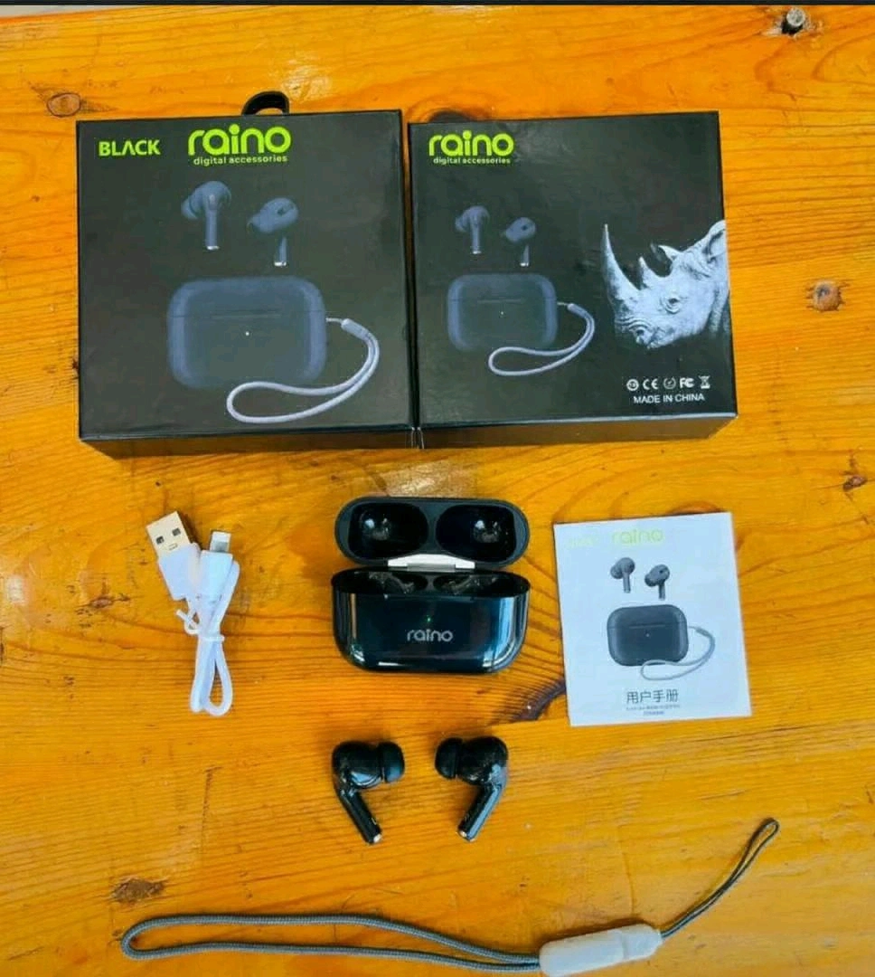 Raino Black Digital Wireless Earbuds (Earpods)