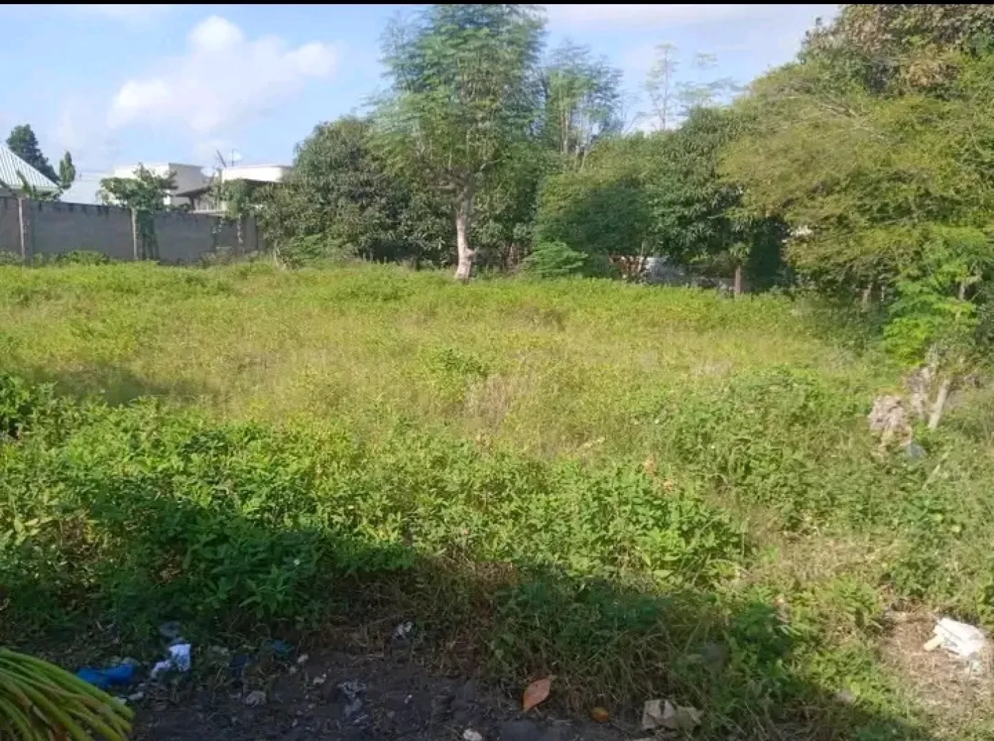 Plot of Land for Sale in Boko Basihaya (1225 sqm) thumbnail 2