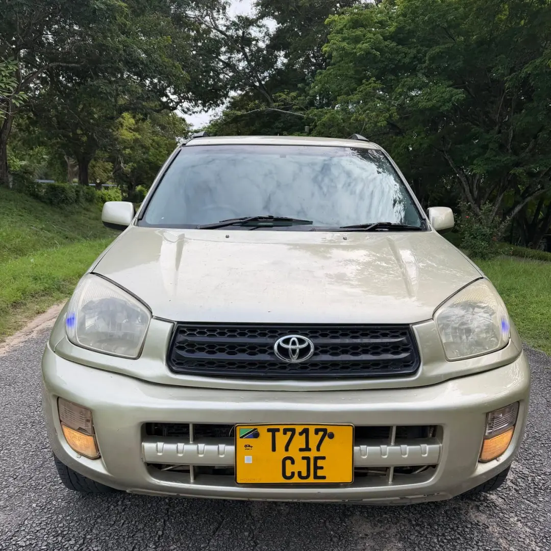 Toyota RAV4 Killtime 2004