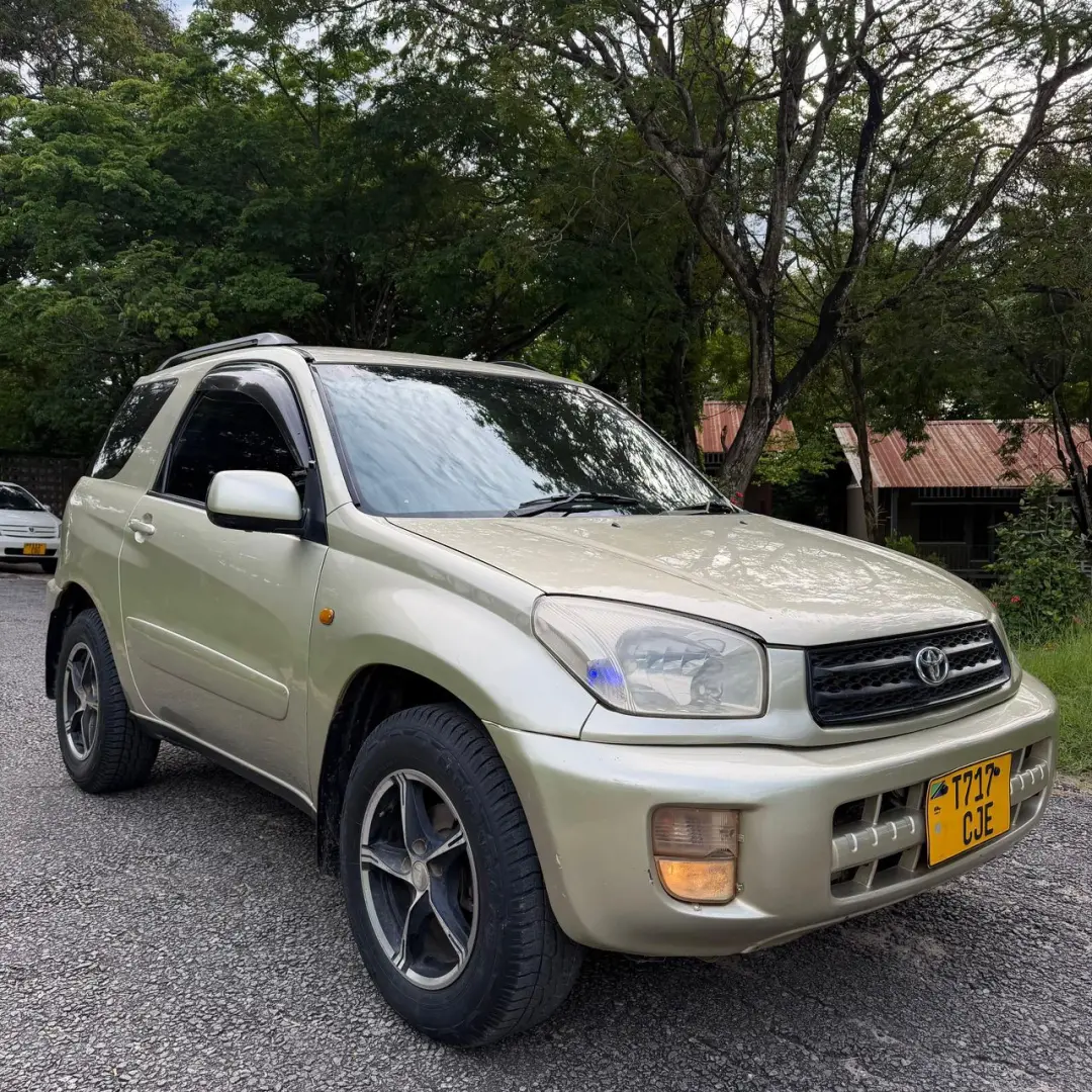 Toyota RAV4 Killtime 2004 thumbnail 6