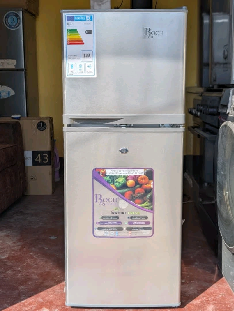 Roch Fridge 110L Silver Top Freezer