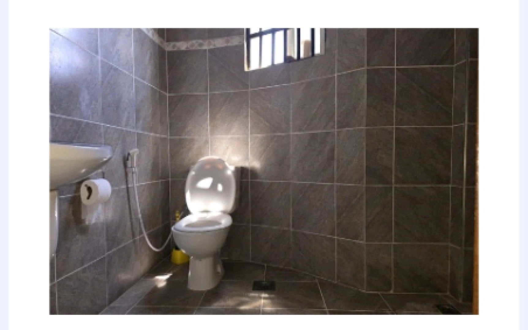 Fully Furnished 5 Bedroom House for Rent in Tengeru, Arusha thumbnail 8