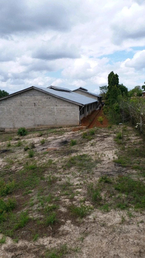 Farm Plot with Poultry Houses and Mango Trees for Sale Kibaha thumbnail 4