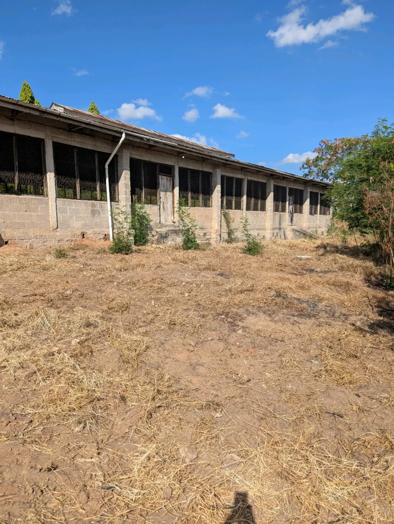 Farm Plot with Poultry Houses and Mango Trees for Sale Kibaha thumbnail 5