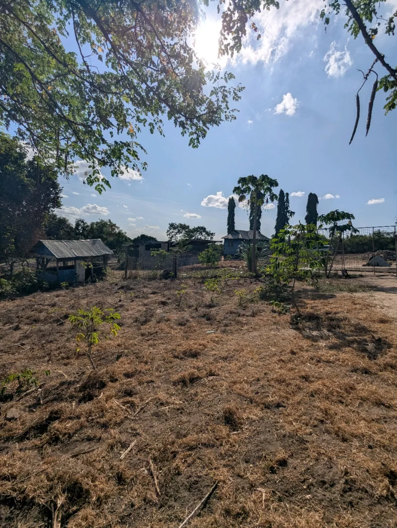 Farm Plot with Poultry Houses and Mango Trees for Sale Kibaha thumbnail 7