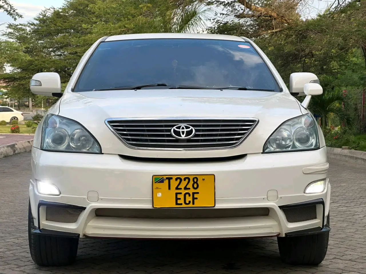 Toyota Harrier 2007 ECF