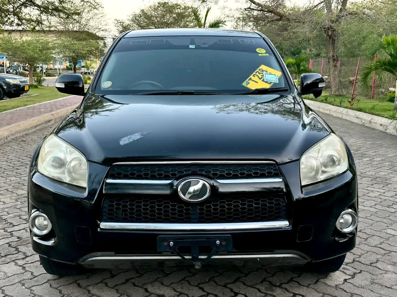 Toyota RAV4 2010 Black