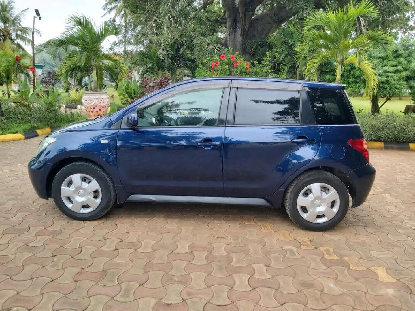 Toyota Ist 2003 DVL Low Mileage thumbnail 3