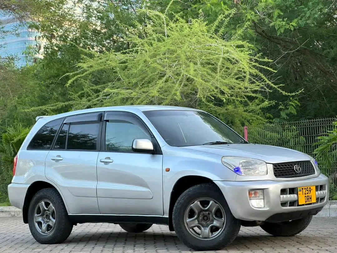 Toyota RAV4 Kill Time 2005 thumbnail 2