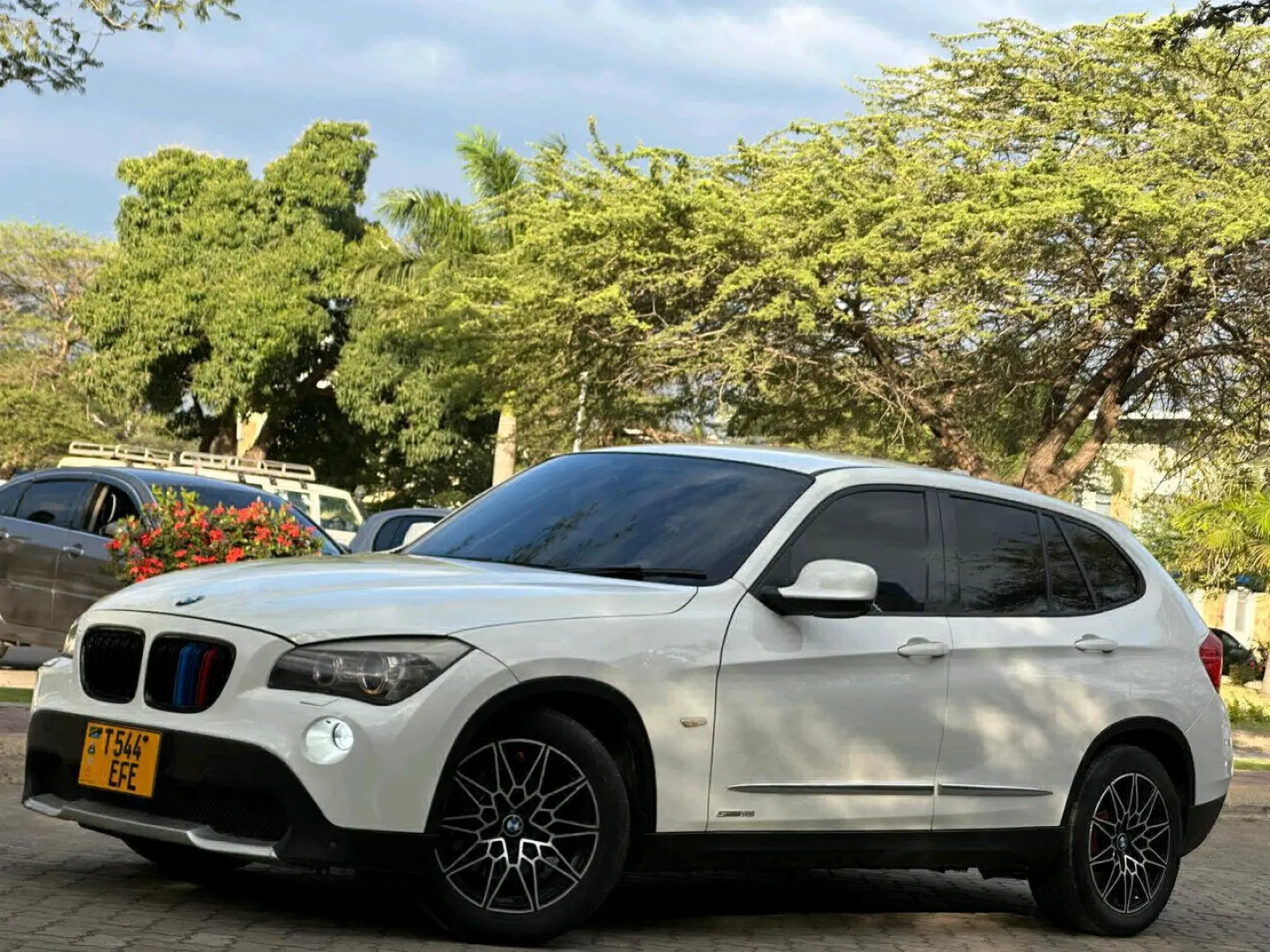 BMW X1 SUV 2010 (E84) - Pearl Color, 1990cc thumbnail 6