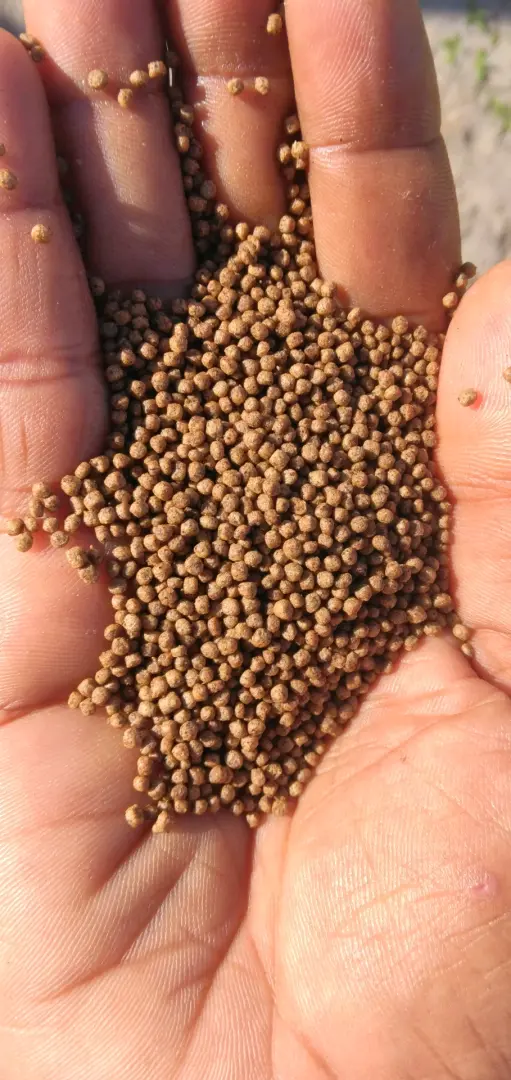 Aquarium Fish Feed Pellets