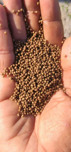 Aquarium Fish Feed Pellets