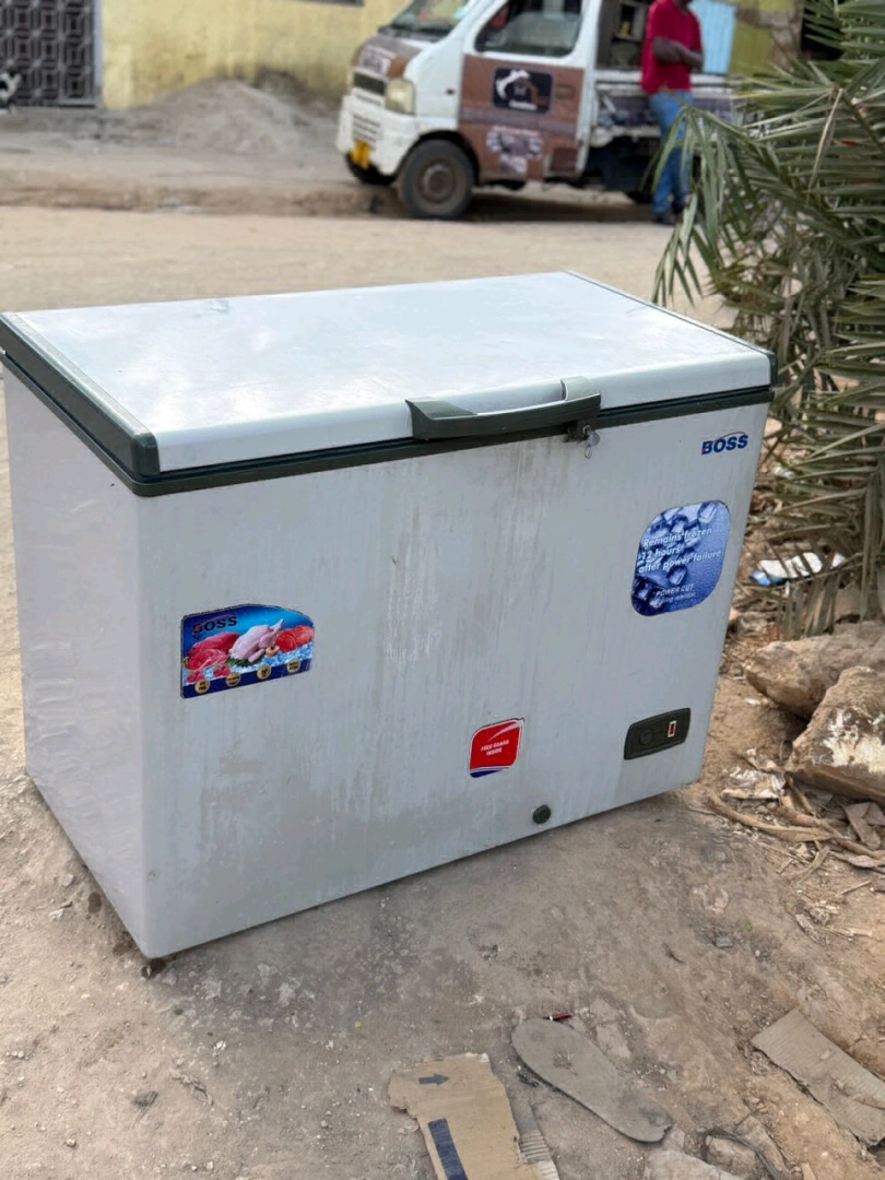 Boss 300L White Chest Freezer