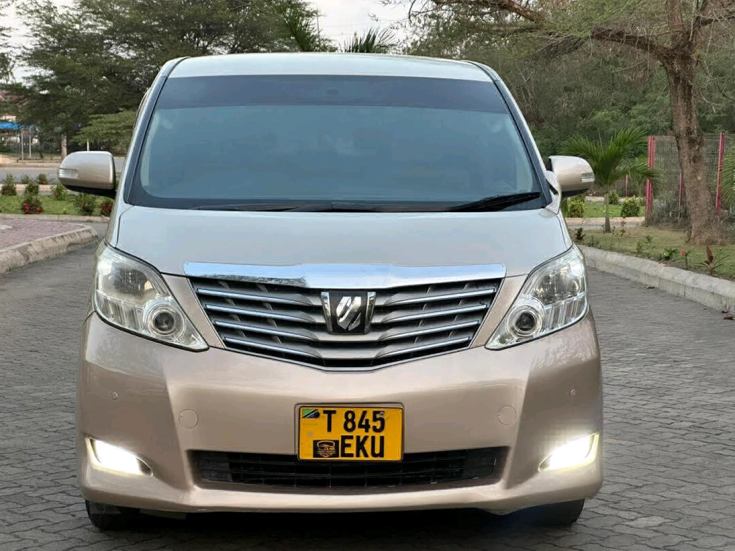 Toyota Alphard Minivan 2008 Model