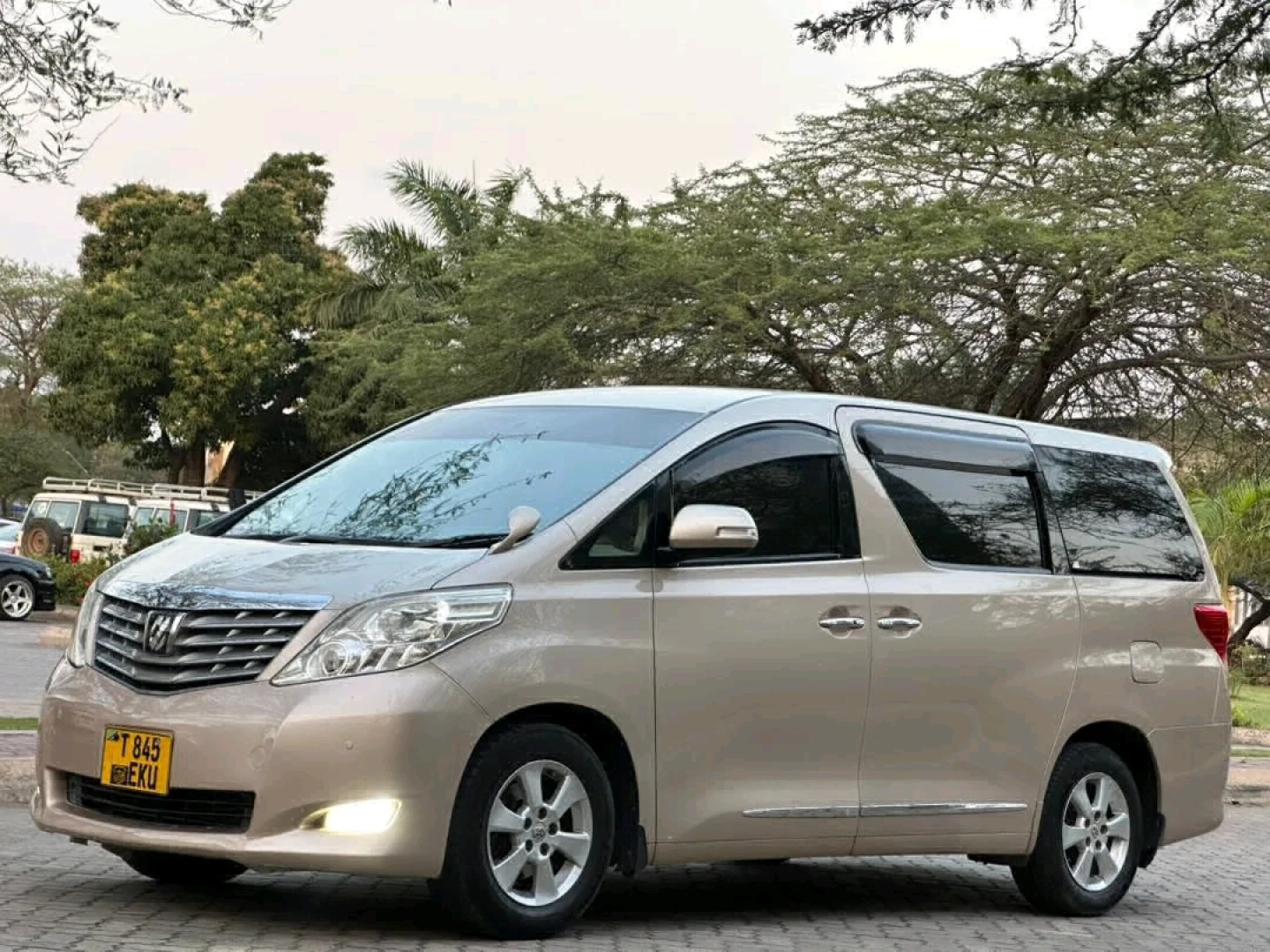Toyota Alphard Minivan 2008 Model thumbnail 4