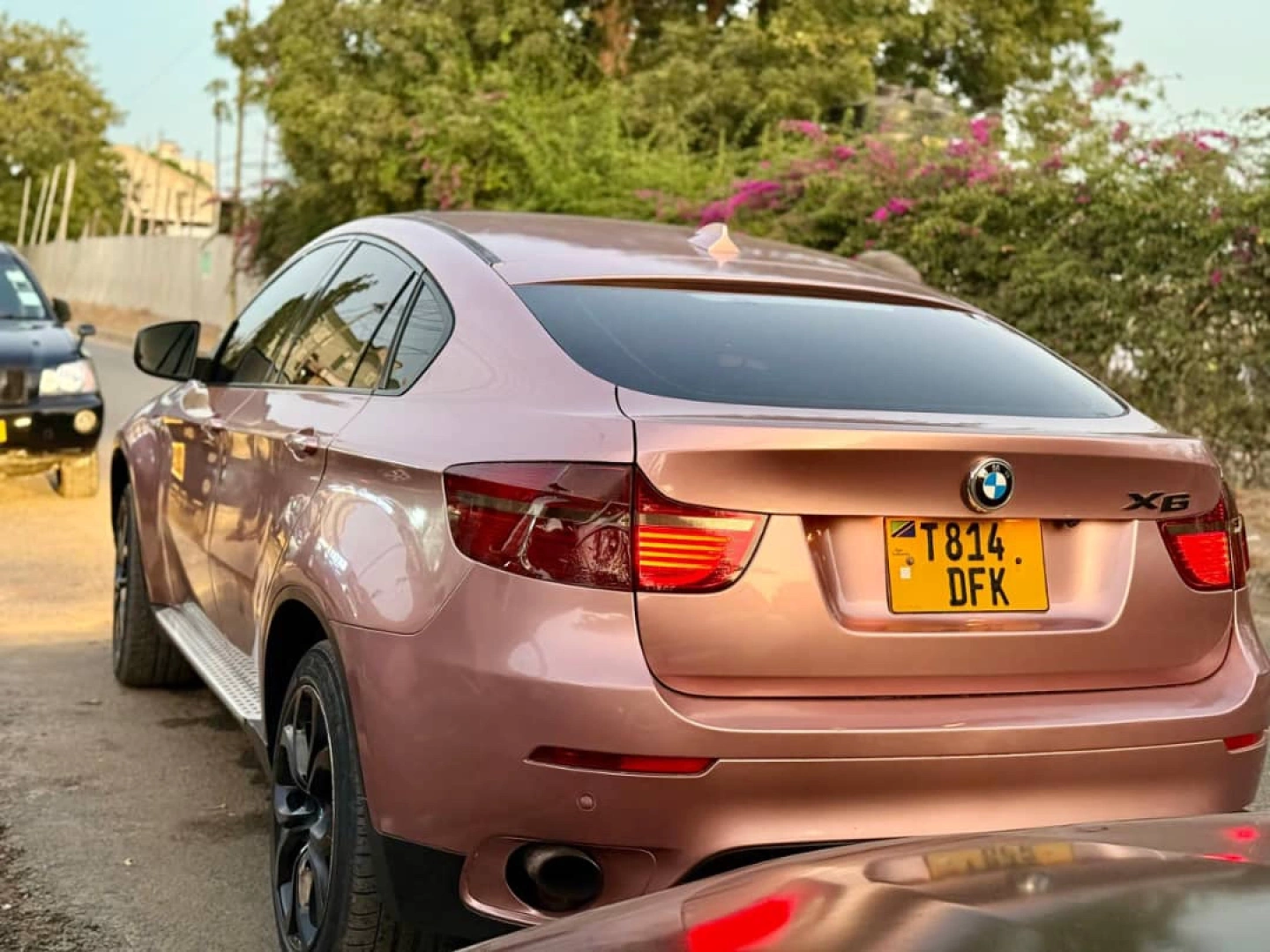 BMW X6 SUV Pink/Rose Gold thumbnail 4