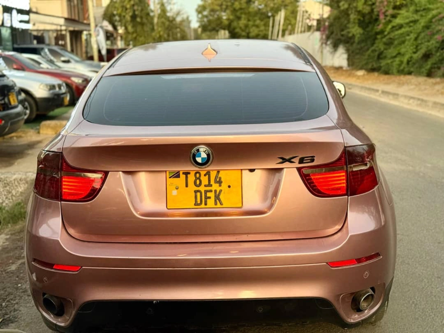 BMW X6 SUV Pink/Rose Gold thumbnail 7