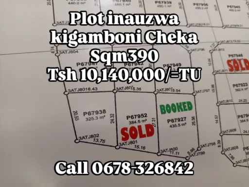 Kiwanja Kigamboni Cheka (Surveyed)