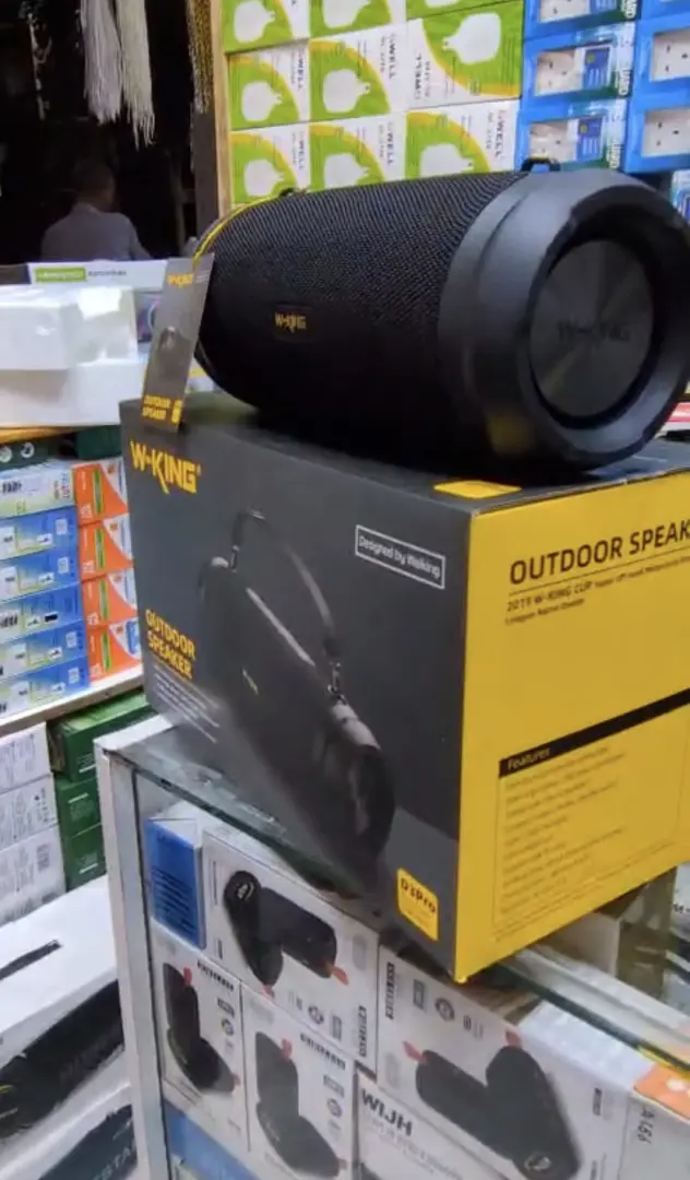 W-KING D3 PRO 60W Outdoor Speaker