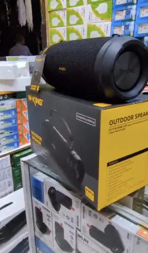 W-KING D3 PRO 60W Outdoor Speaker