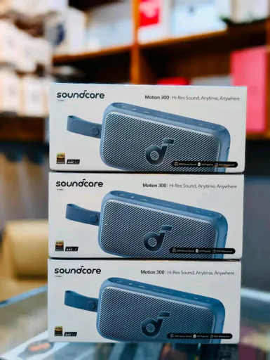 Soundcore Motion 300 Portable Bluetooth Speaker