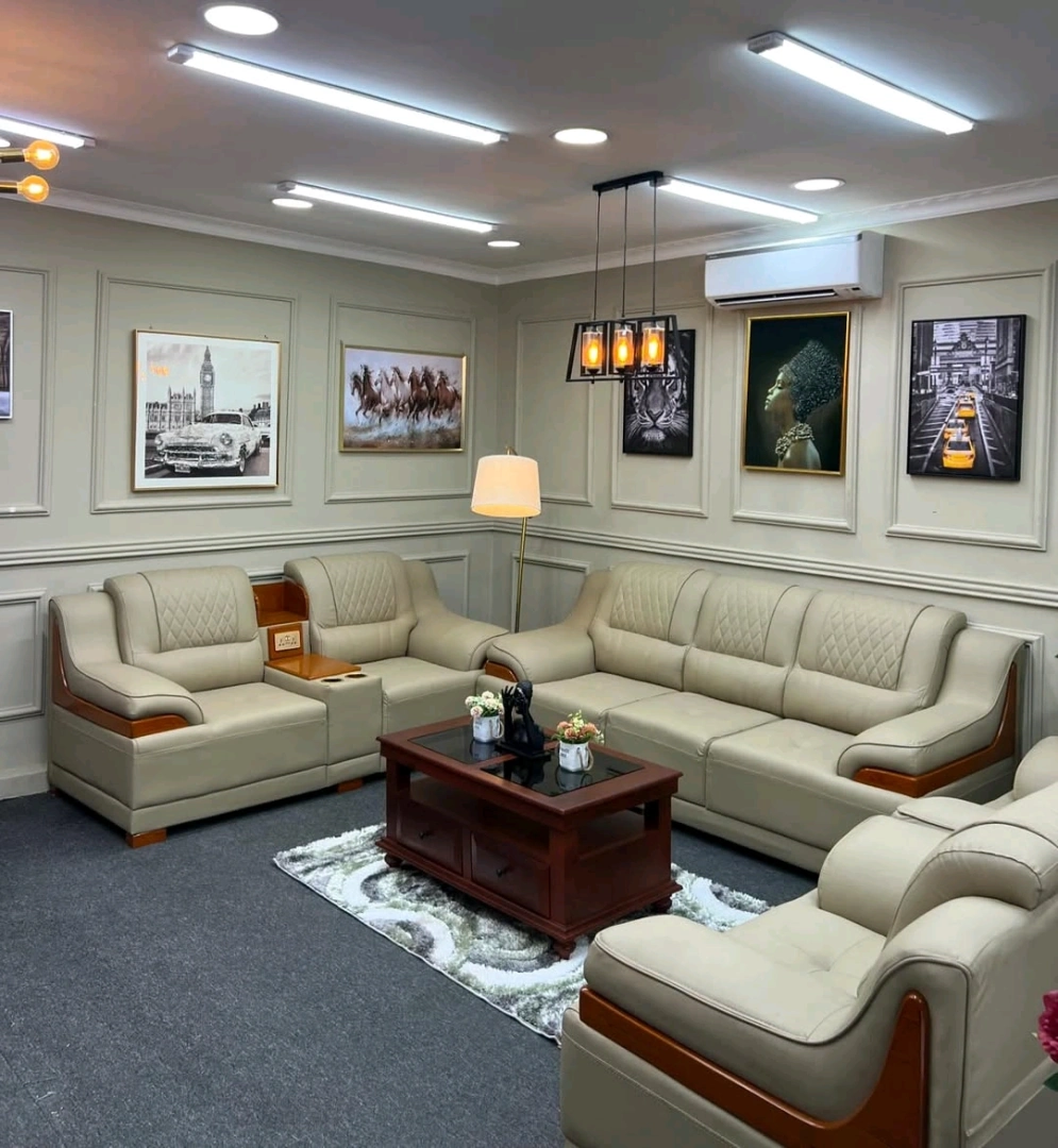 Complete Modern Luxurious Leather Sofa Set