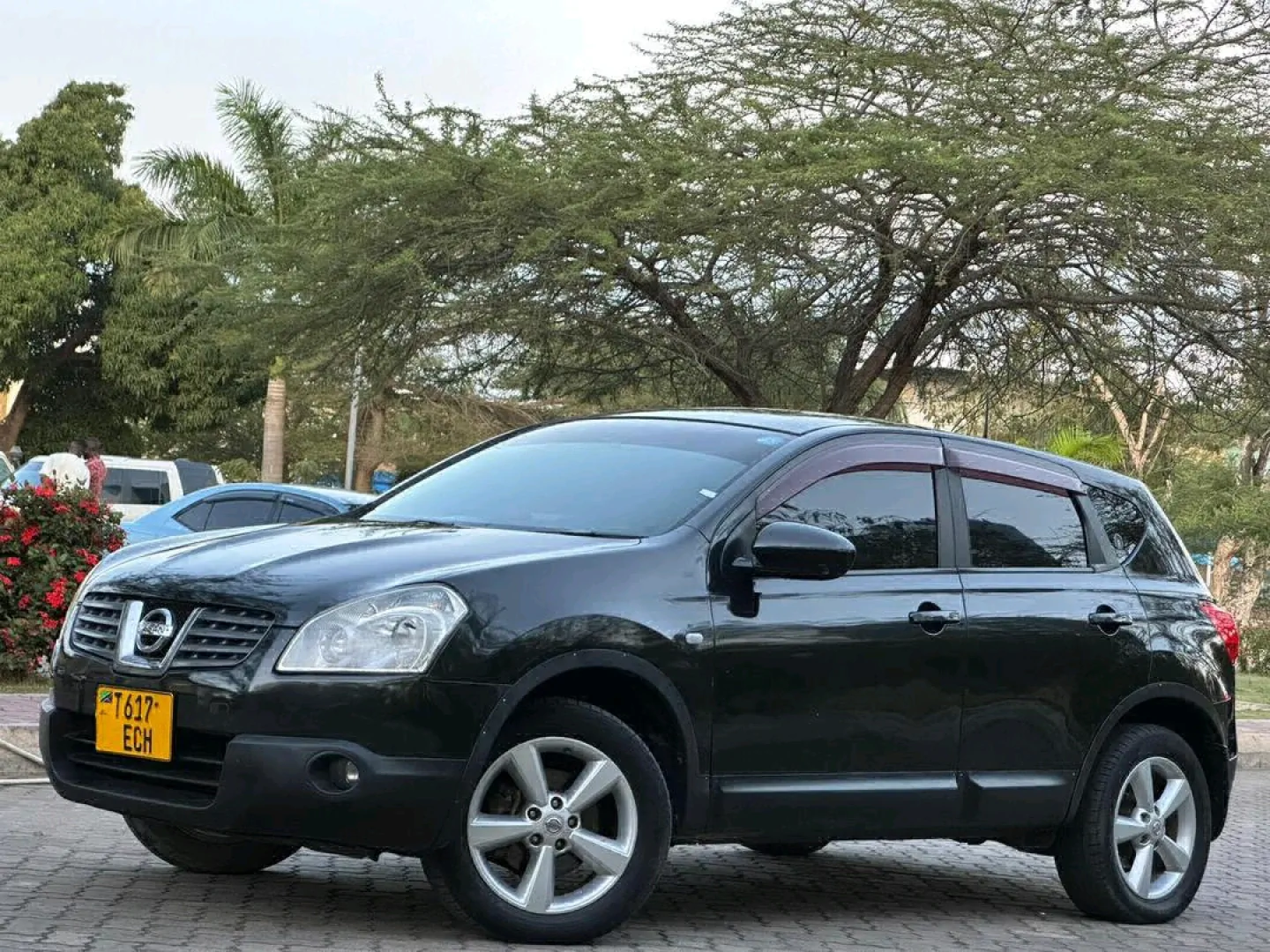 Nissan Dualis 2008 SUV thumbnail 6