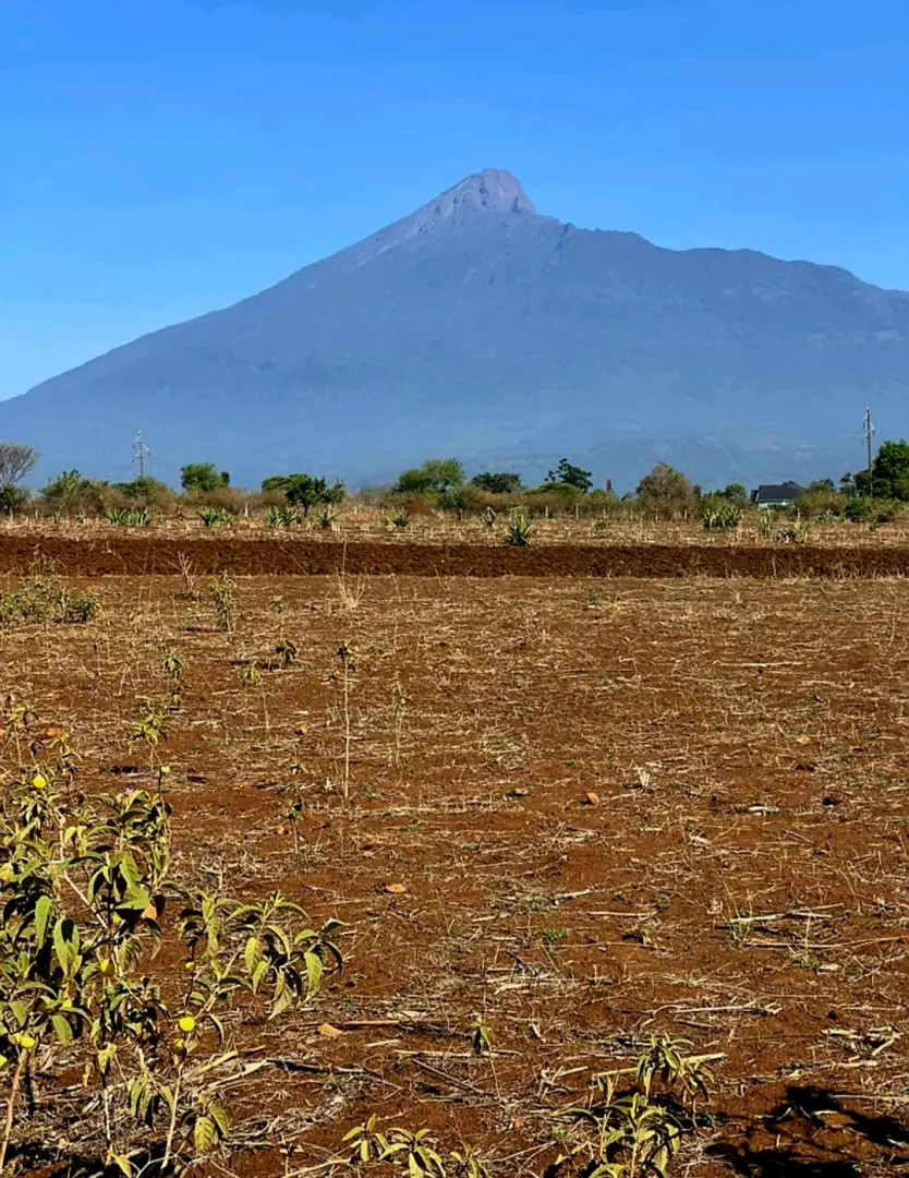 Discounted Land Plots (Viwanja) with Installment Payments thumbnail 2